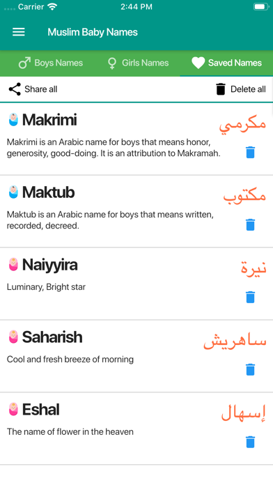 Muslim Baby Names and Meaning Screenshot