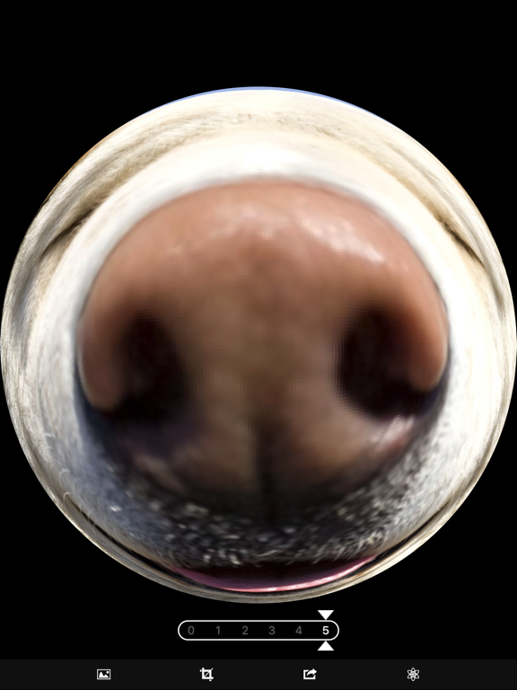 Screenshot #6 pour Fisheye Magick