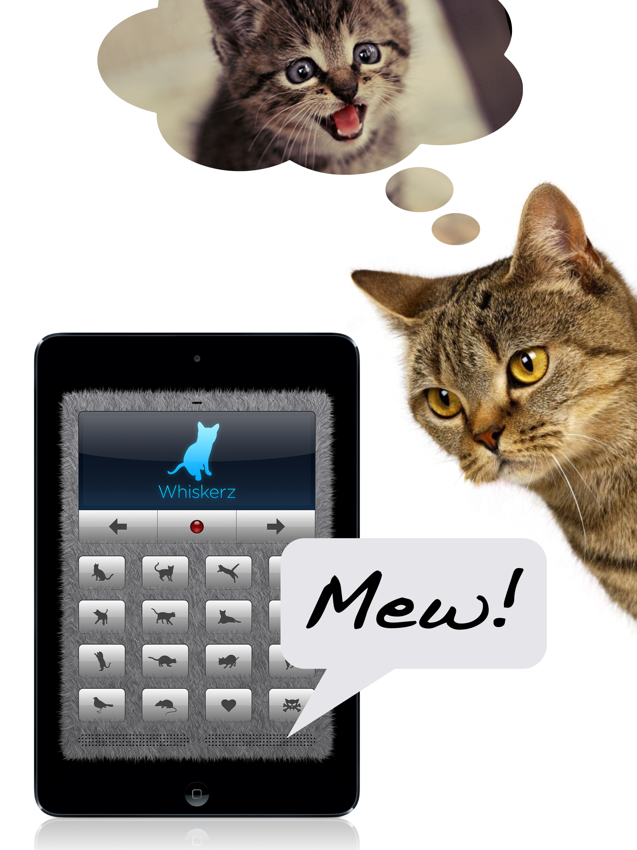 Human-to-Cat Translator Deluxe