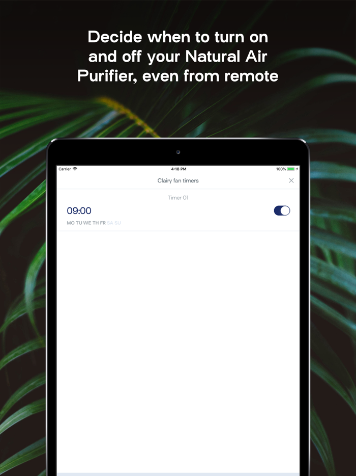 Natural Air Purifier
