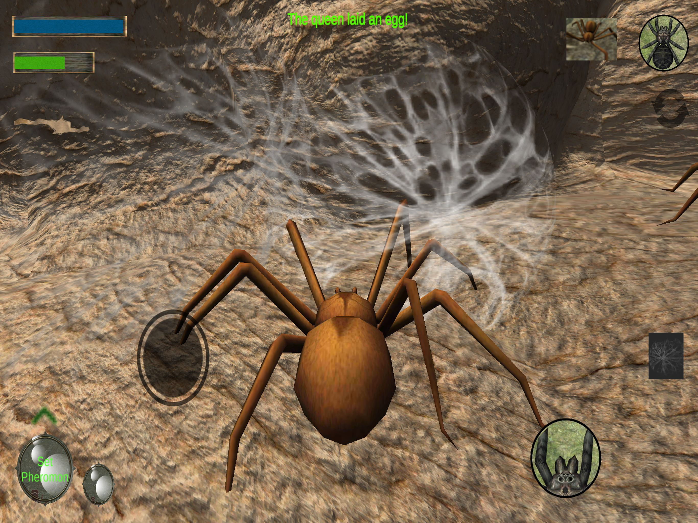Spider Colony Simulator screenshot 6