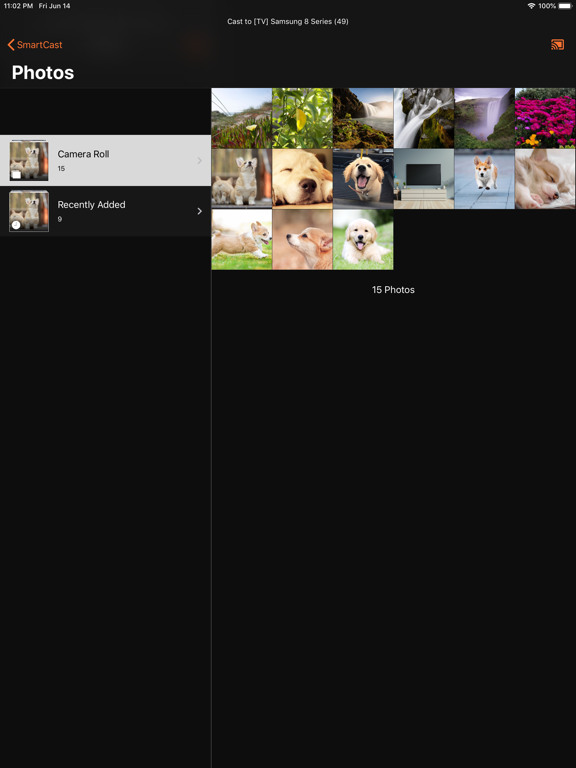 Screenshot #5 pour SmartCast - Smart TV Streaming