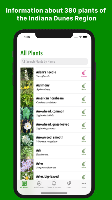 Dune Plants Screenshot