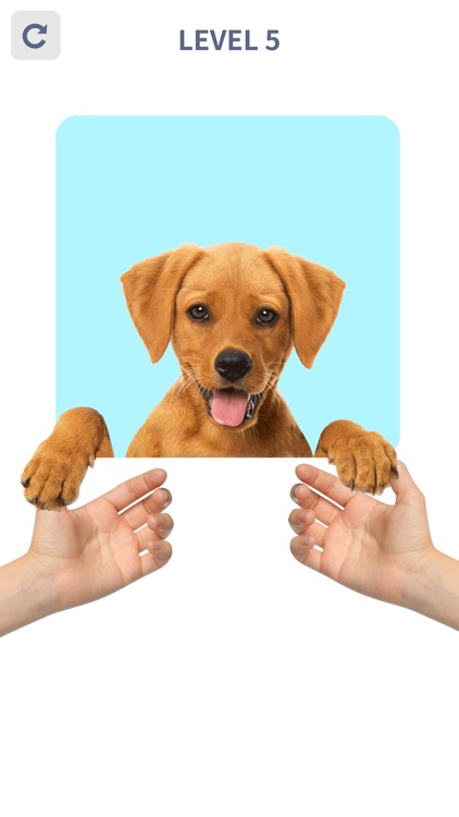 Brain Puzzle: 99 Games screenshot-0