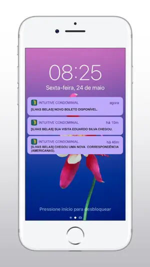 Intuitive Tecnologia screenshot 1