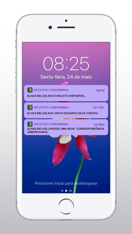 Intuitive Tecnologia