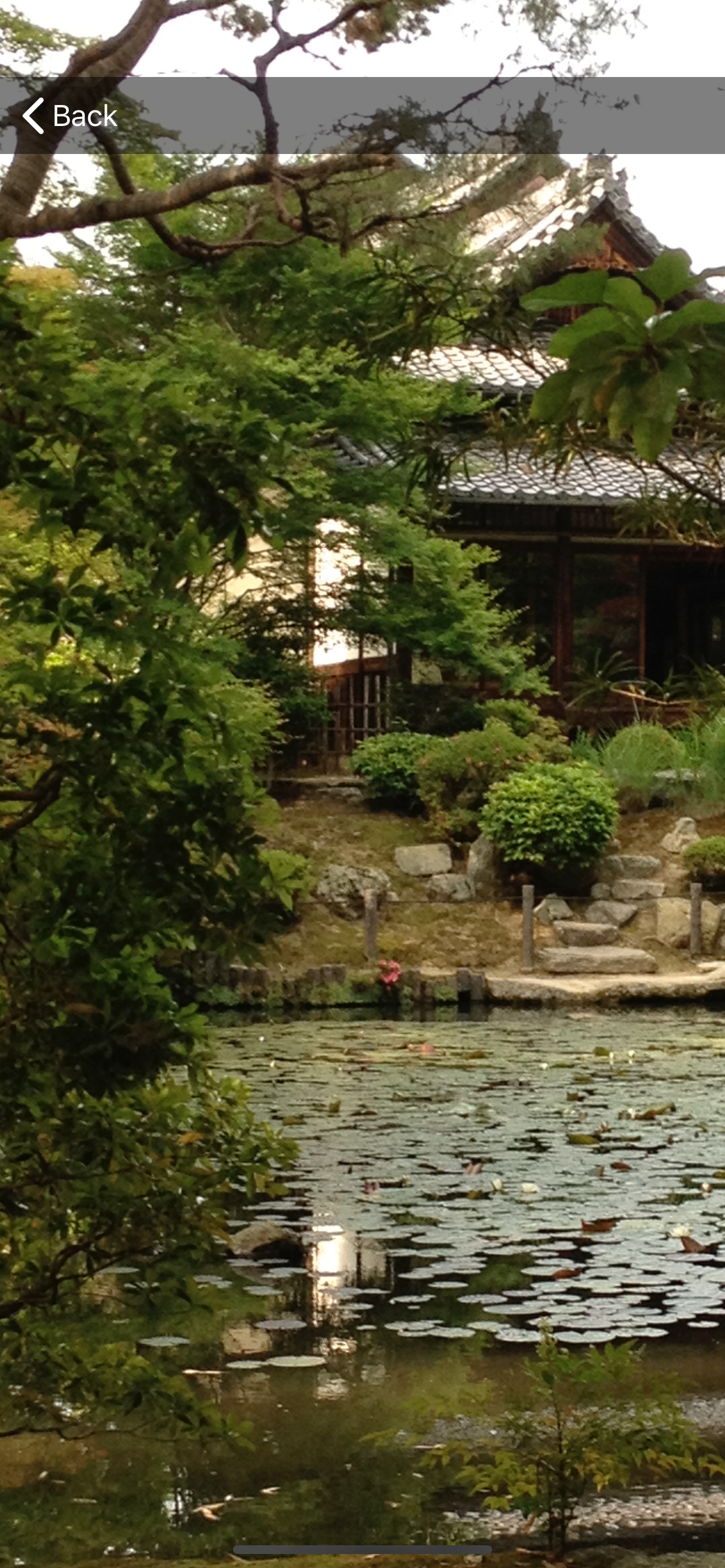 Zen Moments