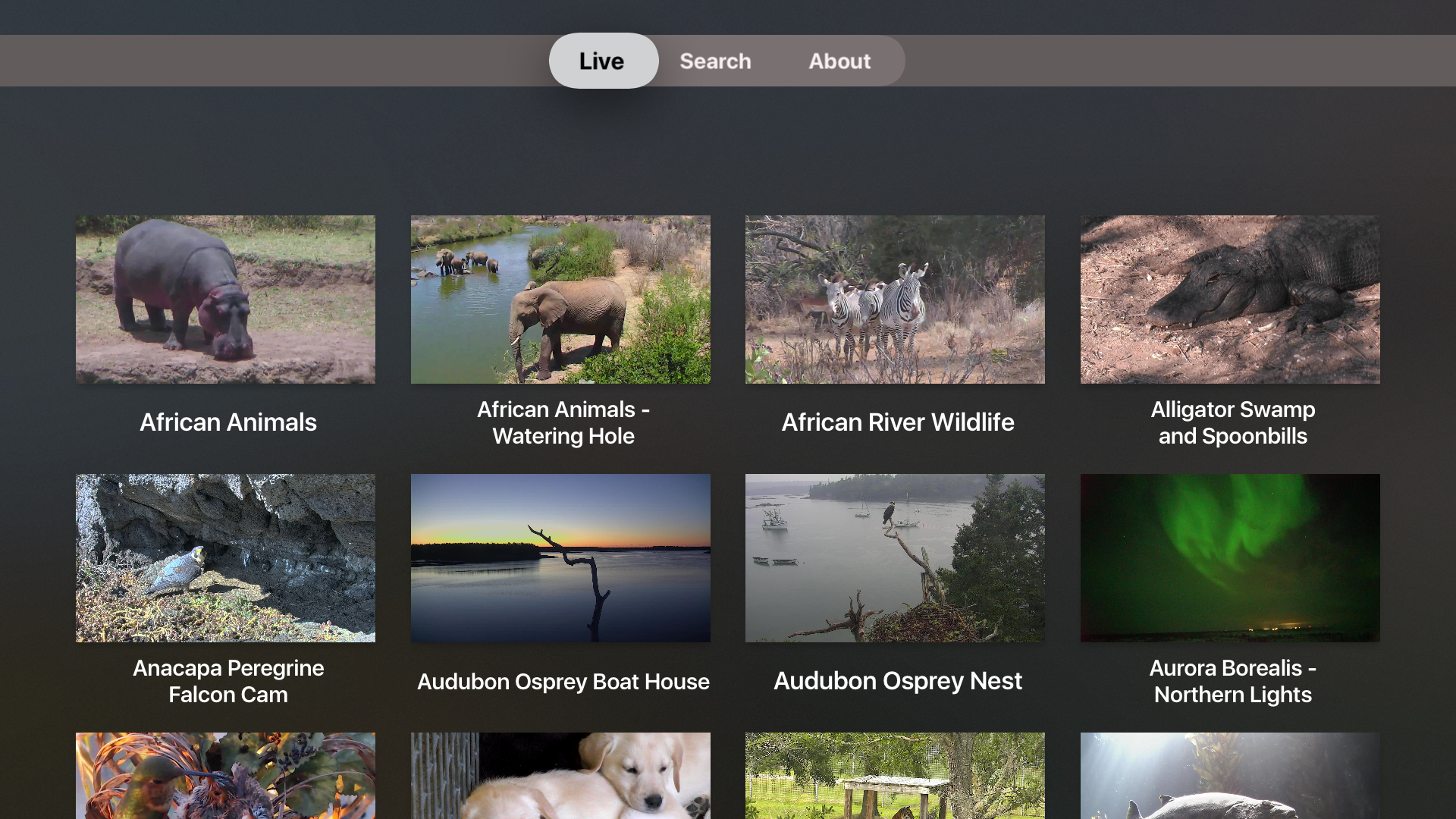 Explore.org: Live Animal Cams