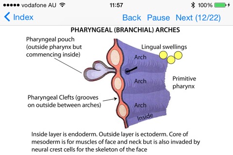 Embryology Lecturesのおすすめ画像3