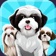 Shih Tzu Dog Emojis Stickers app icon - Stickers app for iPhone