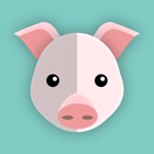 Planner Pig