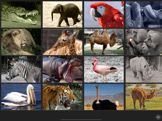 Screenshot #5 pour Image ABC