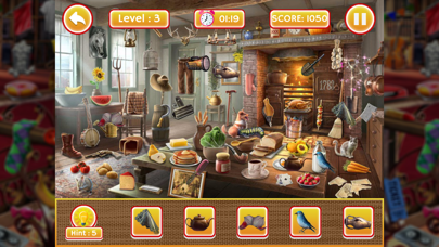 Big Home Hidden Objects screenshot 3