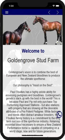 Game screenshot Goldengrove Stud Farm mod apk