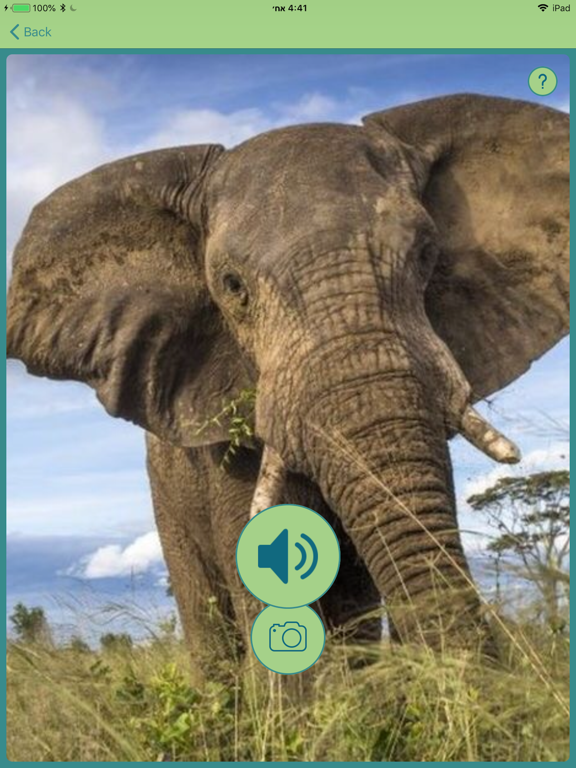 Screenshot #6 pour Talk a Boo