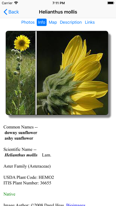 Kansas Wildflowers Screenshot