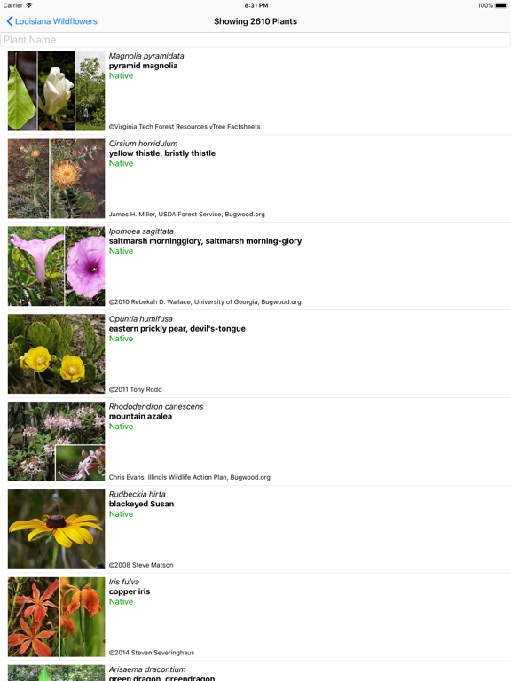 Screenshot #5 pour Louisiana Wildflowers