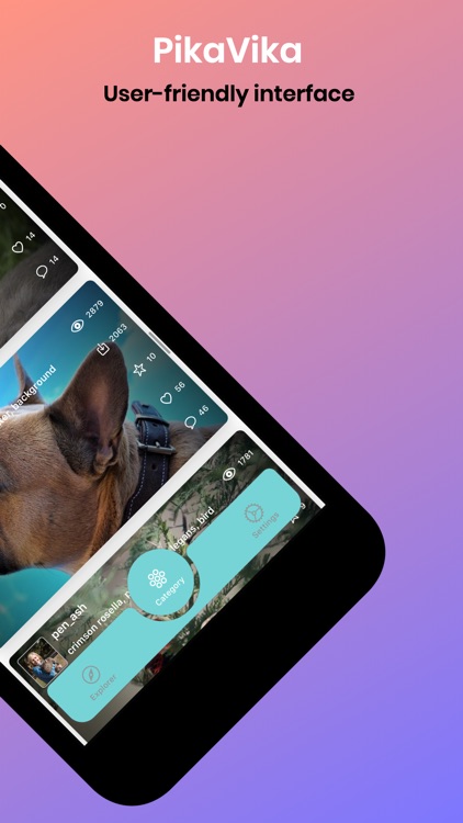 PikaVika screenshot-3