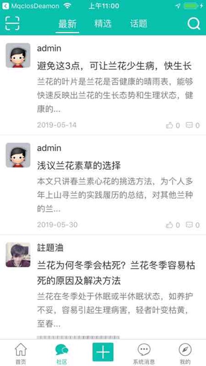 金银花-养花人的世界