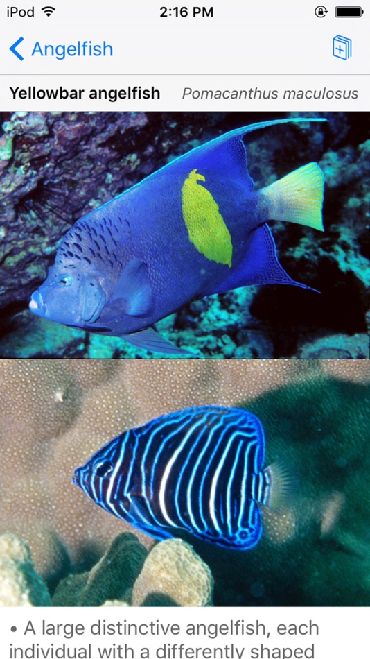 #2. Oman Fish ID (iOS) 由: John P. Hoover