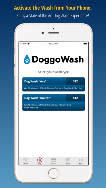 DoggoWash