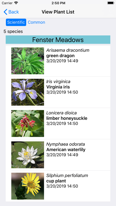 Michigan Wildflowers Screenshot