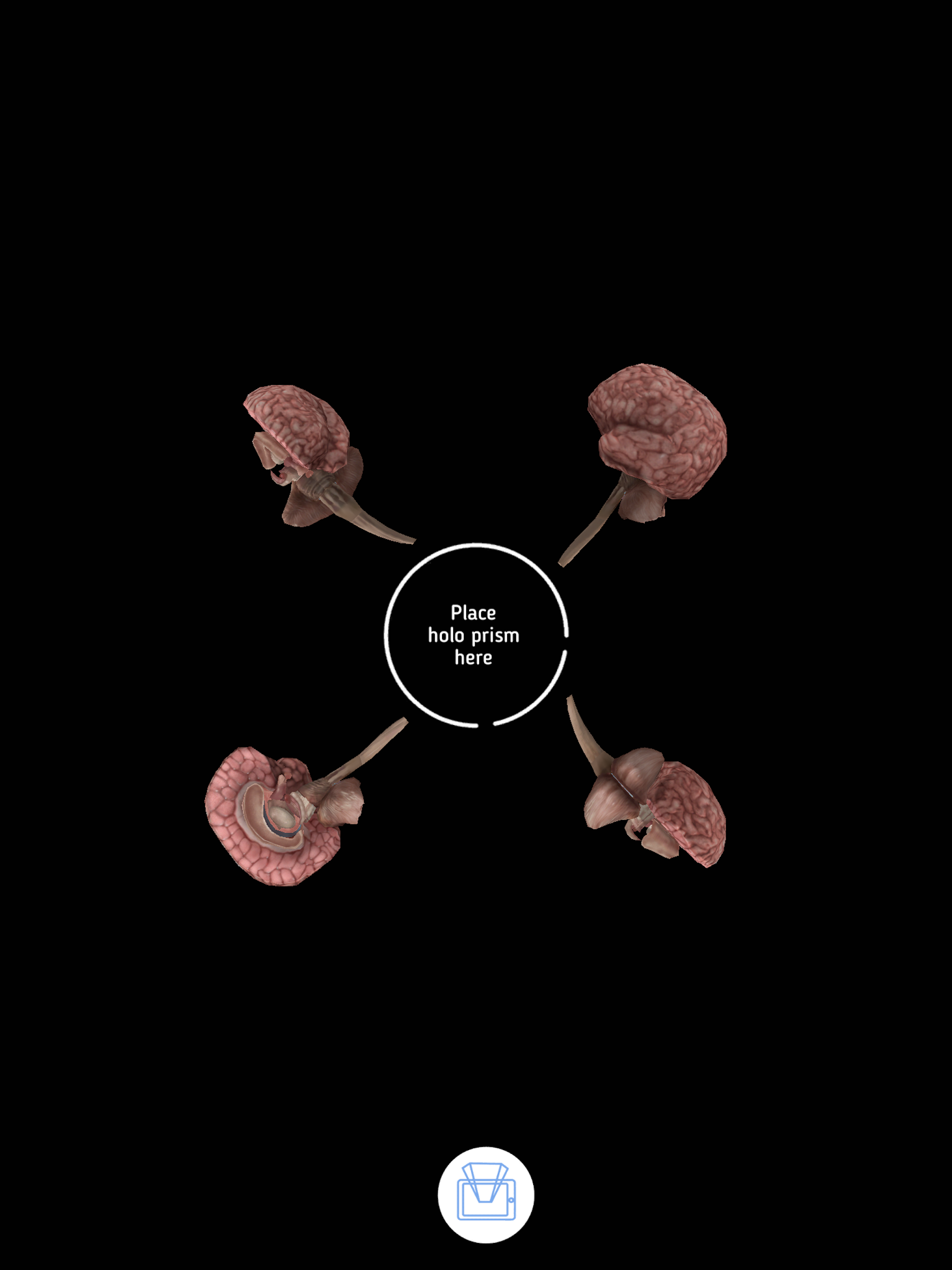 Humanoid 4D+