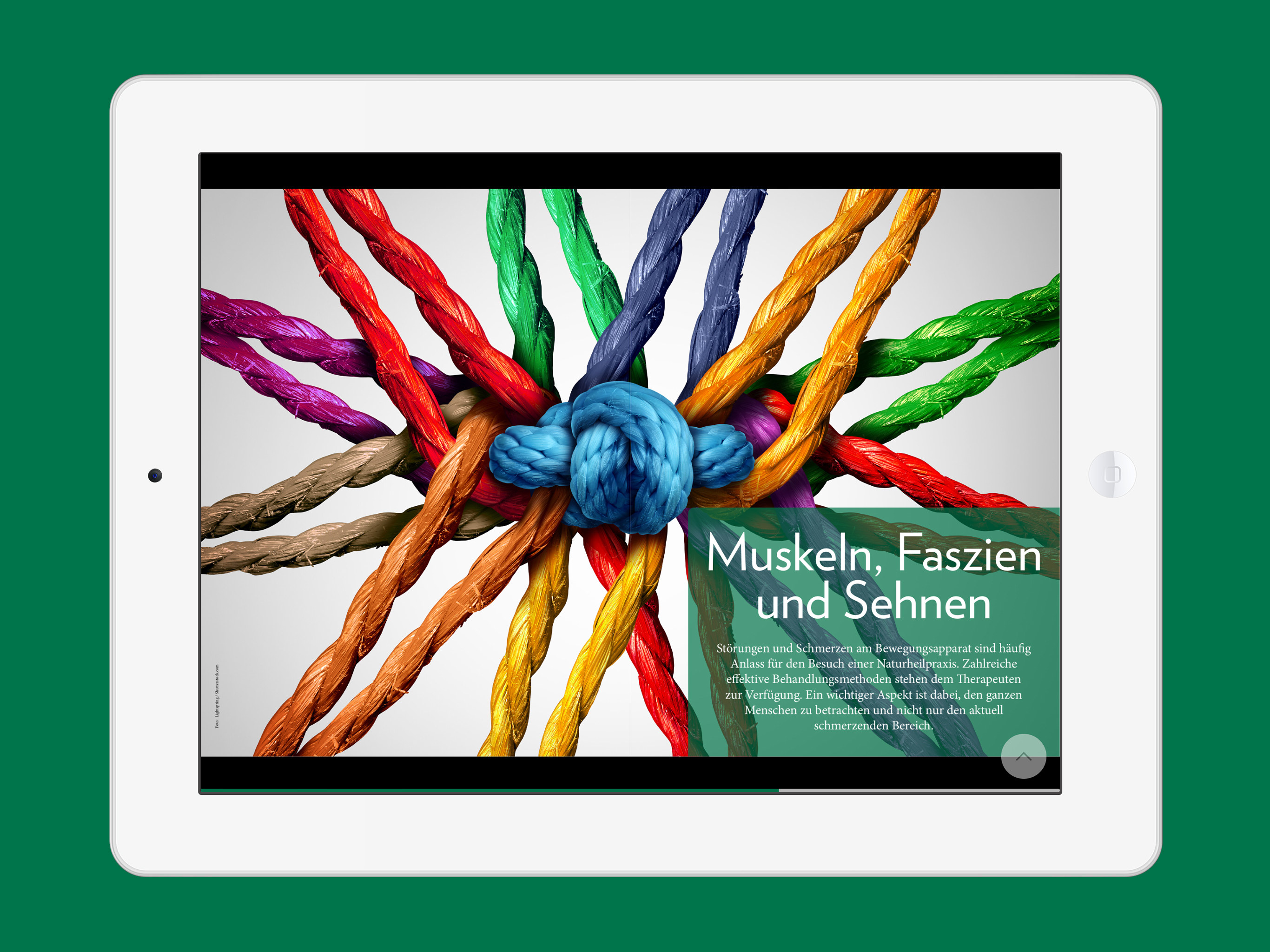 Naturheilpraxis Zeitschrift
