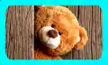 Games for kids flash cards