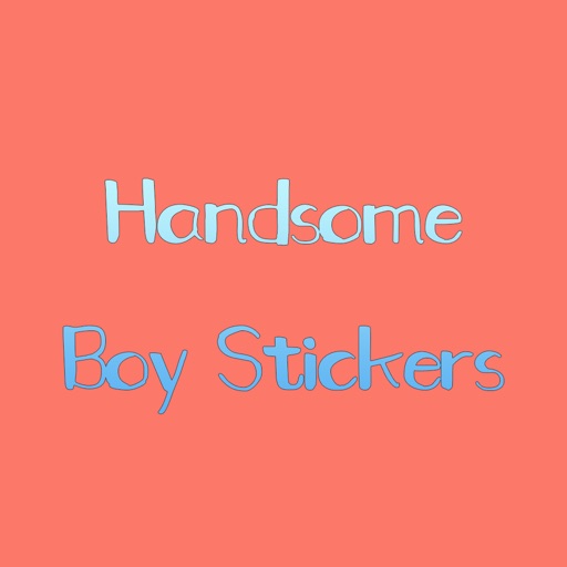 Handsome Boy Stickers