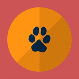 Cards with Animals (Full)