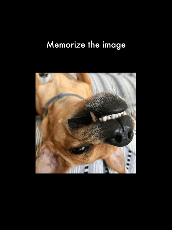 Screenshot #4 pour Slide Puzzle Wear - Watch Game