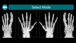 Game screenshot X-Ray Scanner Simulator Prank apk