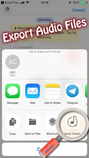 quick export: save audio files iphone screenshot 1