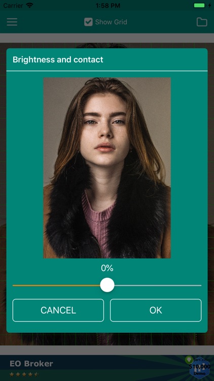 Drawing Grid For The Artist screenshot-3
