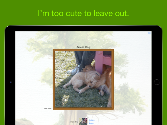 Relations, a Family Photo Cube iPad screenshot 9 - Photo & Video app