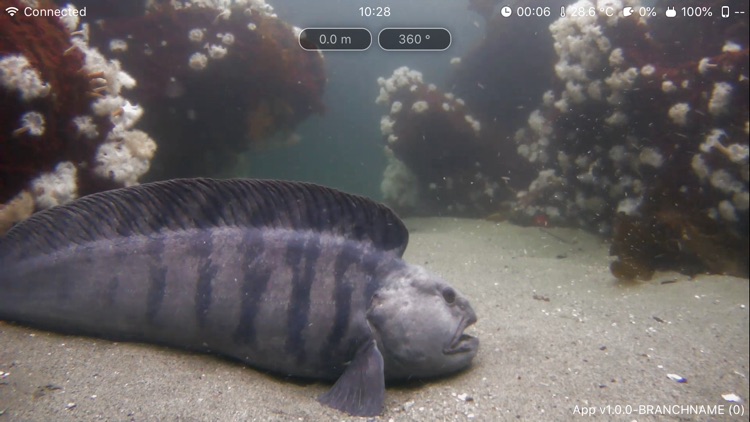 Blueye Observer screenshot-5