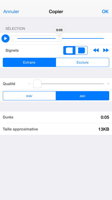 Screenshot #3 pour Audio Memos Pro