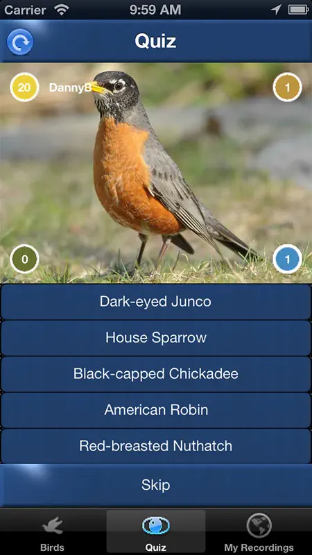 Bird Song Id Canada birdsongs screenshot 4 of 5