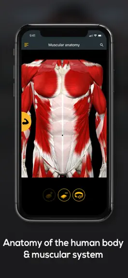 Game screenshot Anatomy by Muscle & Motion hack