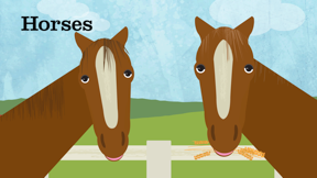 Peekaboo Barn :Peek-a-Zoo Farm screenshot