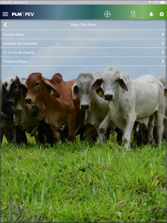 PEV for iPad screenshot-4