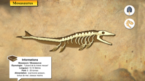 Dinosaures et Paléontologie screenshot