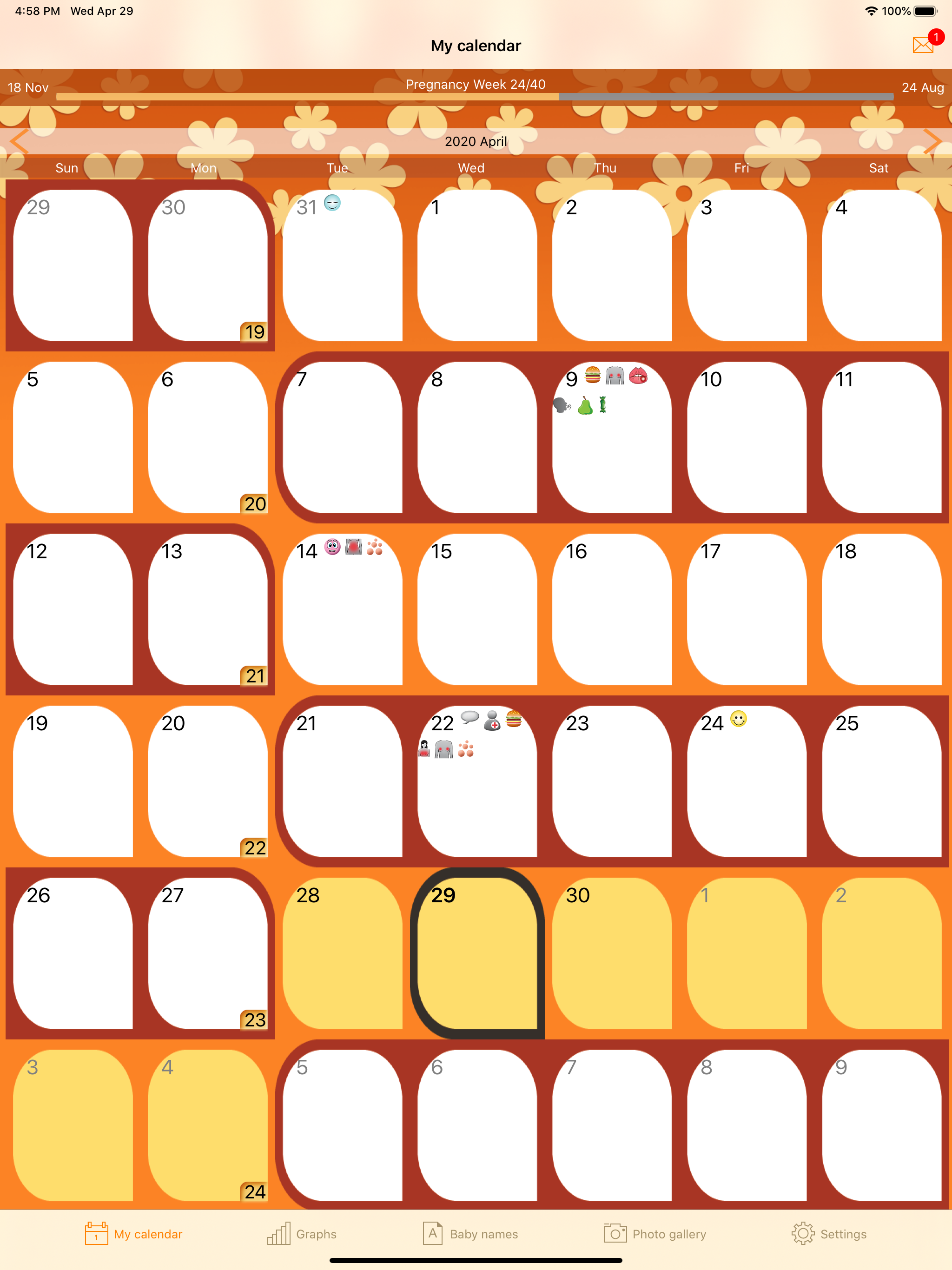 WomanLog Pregnancy Pro screenshot 6