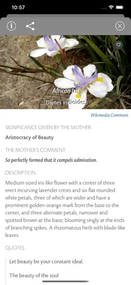 Game screenshot Flower Song hack