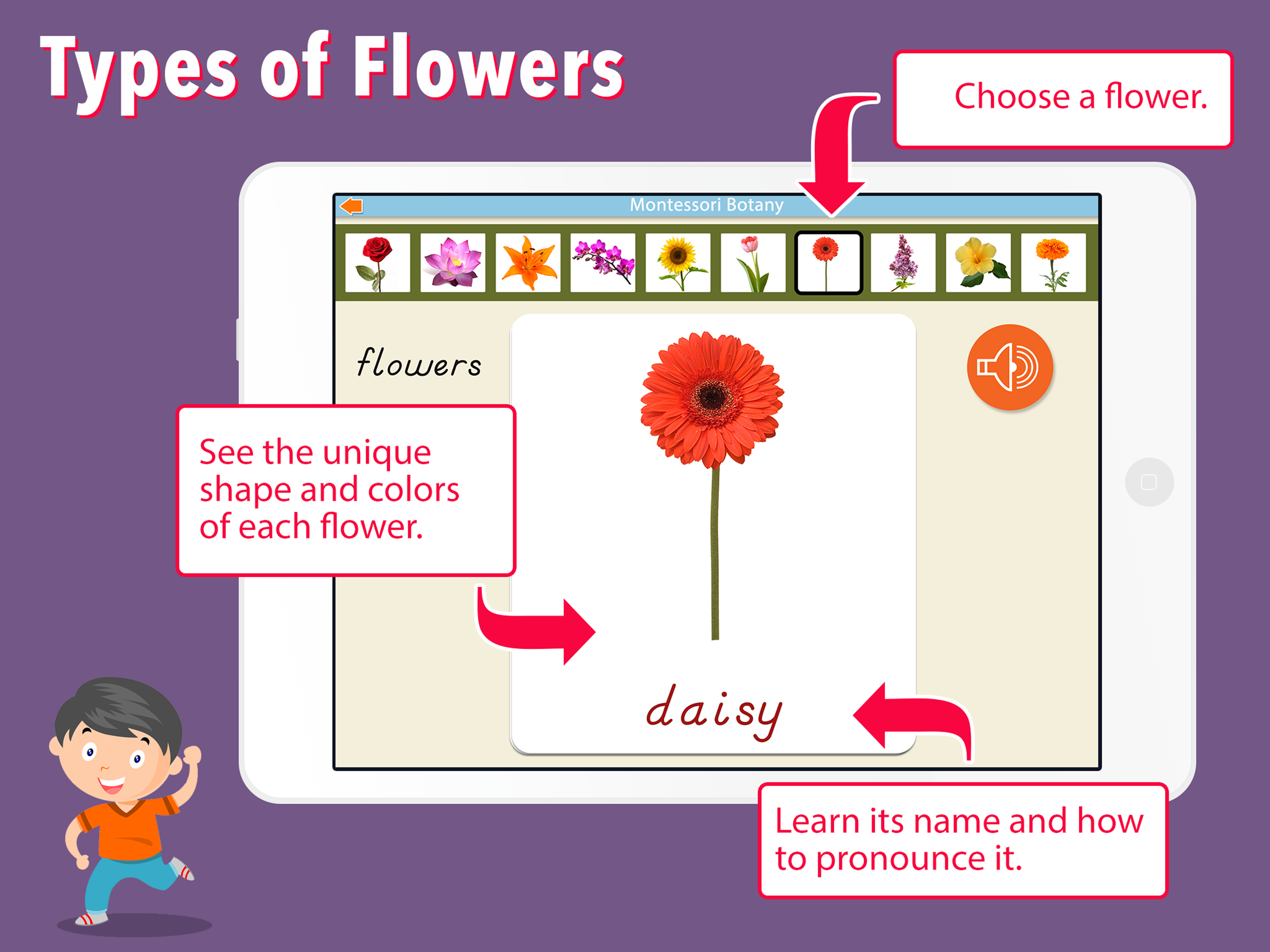 Learn Botany - Parts of Plants screenshot 14