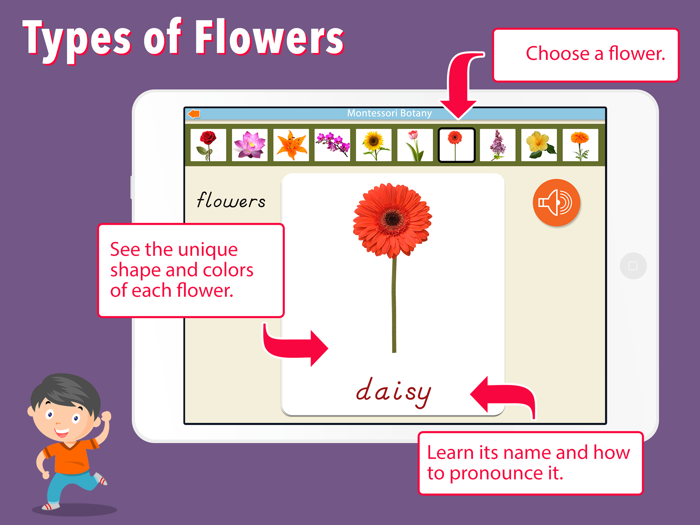 Learn Botany - Parts of Plants