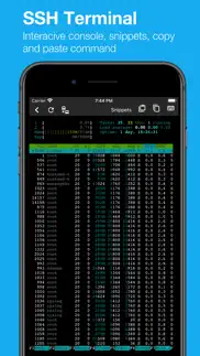 serverdog pro: status, ssh iphone screenshot 2