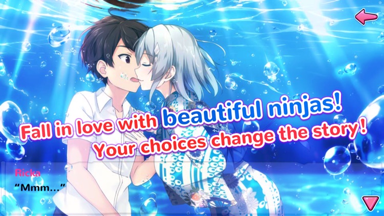 Moe! Ninja Girls: Visual Novel