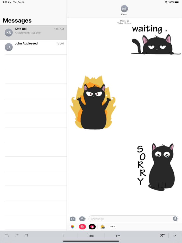 Thirteen The Lovely Black Cat